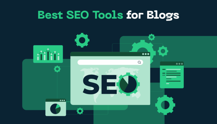 seo uzmanı nasıl olunur