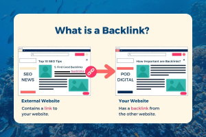 unnamed 300x200 unnamed