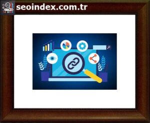 detailed seo extension download