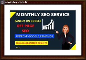 parazit seo nedir