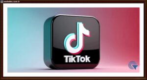 seo çalışmaları nedir