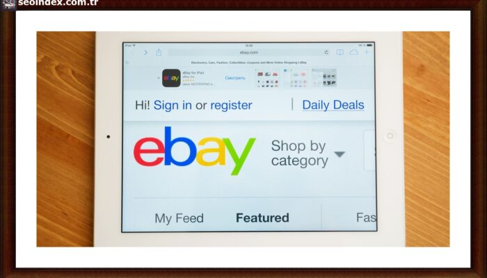 average cost of website design for small business reddit