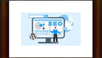 seo aracı