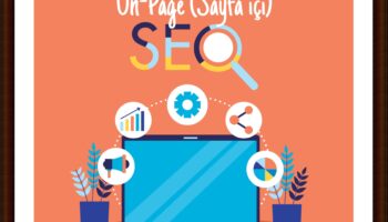 seo check up