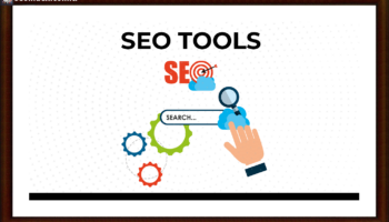 seo analyzer free